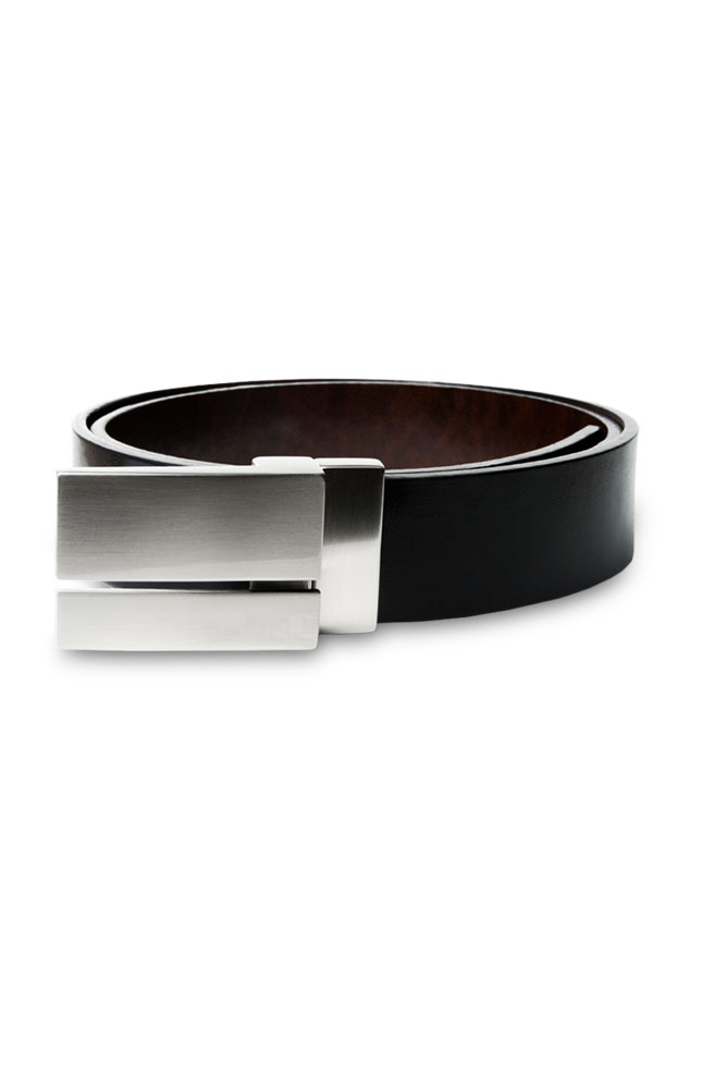 Cassetti Split-Plaque Belt